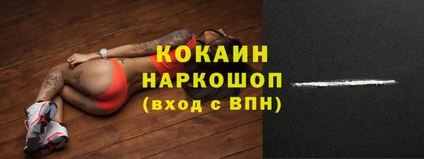 гидра Михайловка