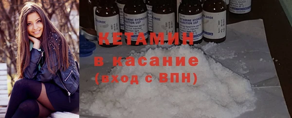 гидра Михайловка