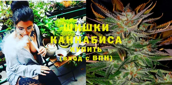 гидра Михайловка