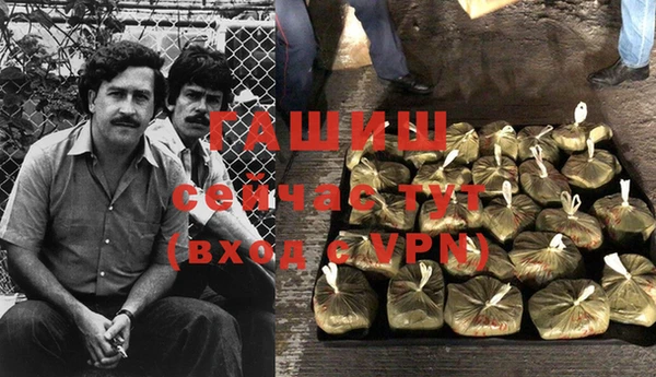 гидра Михайловка