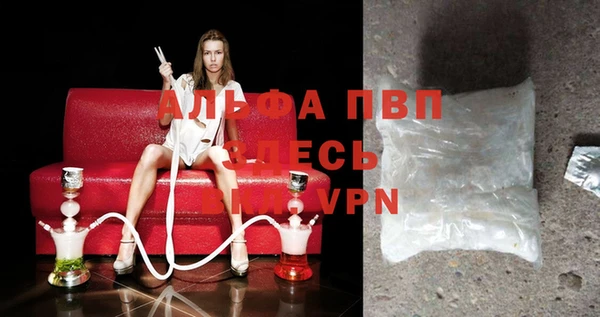 гидра Михайловка