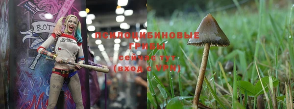 спайс Михайловск