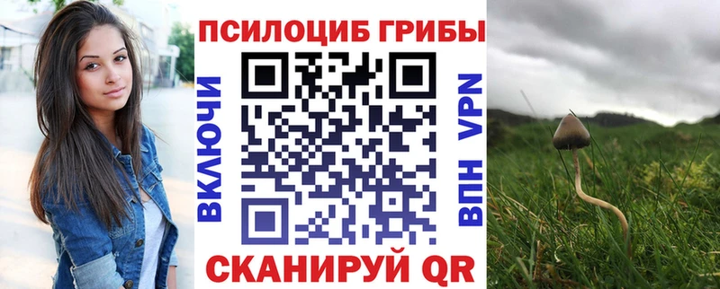 дарнет шоп площадка состав Псилоцибиновые грибы Magic Shrooms Усолье